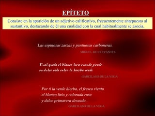 EPÍTETO
Consiste en la aparición de un adjetivo calificativo, frecuentemente antepuesto al
 sustantivo, destacando de él una cualidad con la cual habitualmente se asocia.



                 Las espinosas zarzas y puntuosas carboneras.
                                            MIGUEL DE CERVANTES



                  Cual queda el blanco lirio cuando pierde
                  su dulce vida entre la hierba verde.
                                             GARCILASO DE LA VEGA



                   Por ti la verde hierba, el fresco viento
                   el blanco lirio y colorada rosa
                   y dulce primavera deseada.
                                    GARCILASO DE LA VEGA
 