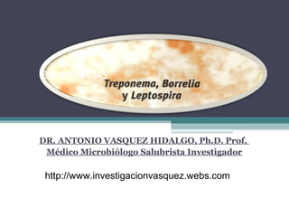 ESPIROQUETAS 
DR. ANTONIO VASQUEZ HIDALGO, Ph.D. Prof. 
Médico Microbiólogo Salubrista Investigador 
http://www.investigacionvasquez.webs.com 
 