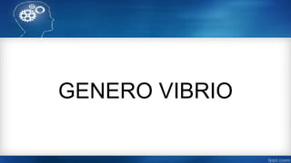 GENERO VIBRIO
 