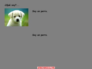 ¿Qué soy?...

               Soy un perro.




               Soy un perro.
 