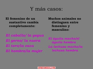 Y más casos:
El femenino de un        Muchos animales no
  sustantivo cambia       distinguen entre
  completamente:          femenino y
                          masculino:
El   caballo/ la yegua
                         El águila macho/el
El   yerno/ la nuera       águila hembra
El   toro/la vaca        La lechuza macho/la
El   hombre/la mujer       lechuza hembra
 