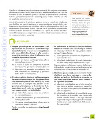 43
UNIDAD 2
CIENCIA 2.0
Para ampliar tus conoci-
mientos sobre las leyes de
Mendel, realiza los pro-
blemaspropuestos,ycom-
prueba tus resultados, en
los siguientes enlaces:
http://goo.gl/Htqdf
http://goo.gl/nbvJPc
2.	Imagina que trabajas en un invernadero y, por
equivocación, has cruzado una planta homocigó-
tica de tallo normal (TT) con una homocigótica de
tallo enano (tt). Sabiendo que el tallo normal es
un carácter dominante sobre el tallo enano, con-
testa a las siguientes preguntas:
a )	 ¿Cómo prevés que sean los genotipos y feno-
tipos de la generación F1?
b )	 Si vuelves a cruzar los ejemplares de esa F1,
¿cómo serán los genotipos y fenotipos de la F2?
c )	 Representa tus resultados en cuadros de Pun-
nett, indicando los porcentajes y probabili-
dades de las combinaciones.
3.	El carácter relativo al color de piel de una especie
de rana está determinado por dos genes alelos,
uno dominante para el color verde («A») y uno
recesivo para el color gris («a»). ¿Cuáles son los
genotipos y fenotipos de la descendencia de los
siguientes cruces? Indica en un cuadro de Pun-
nett sus porcentajes y probabilidades.
a )	 Un macho homocigótico verde con una hem-
bra homocigótica gris.
b )	 Un macho homocigótico gris con una hembra
homocigótica verde.
c )	 ¿Te parece que el sexo tiene influencia en la
transmisión de este carácter?
Puedes comprobar tus resultados en: http://goo.gl/
UMfFsB.
4.	En los humanos, el pelo oscuro («O») es dominan-
te sobre el pelo rojo («o»). Una mujer y un hombre
de pelo oscuro tuvieron dos hijos, uno de pelo os-
curo y otro de pelo rojo.
a )	 ¿Qué genotipos presentan los progenitores y
su descendencia?
b )	 ¿Cuál es la probabilidad de que la descenden-
cia de la pareja tenga el pelo oscuro o rojo?
Representa tus resultados en cuadros de Punnett,
indicando los porcentajes y probabilidades de las
combinaciones. ¡Pide ayuda a las matemáticas!
5.	El alelo de ojos oscuros («A») es dominante frente
al alelo de ojos claros («a»), que es recesivo. Ba-
sándote en las leyes de Mendel, y pensando en
una pareja que desea tener un bebé, contesta a
las siguientes preguntas:
a )	 ¿Existe la posibilidad de que el bebé tenga los
ojos claros si ambos progenitores tienen los
ojos oscuros? ¿Qué genotipos deberán pre-
sentar sus padres?
b )	 ¿Cuál es la probabilidad de que el bebé tenga
los ojos claros si el padre los tiene oscuros y la
madre también claros? ¿Y los ojos oscuros?
Representa los porcentajes y probabilidades ob-
tenidas en un cuadro de Punnett. ¡Pide ayuda a
las matemáticas!
ACTIVIDADES
Mendel no solo experimentó con dos caracteres de dos variantes opuestas en
plantas de guisante. Estudió siete caracteres, además de la forma y el color de
la semilla: el color de las flores (púrpura o blanca), su posición (axial o terminal),
la forma y el color de la vaina (lisa o estrangulada y verde o amarilla), y la talla
de las plantas (normal o enana).
Acertó al seleccionar la planta de guisante como su modelo de estudio, ya
que al utilizar una especie autógama se aseguraba de que las variedades eran
líneas puras, constituidas por individuos idénticos y homocigóticos. Inició sus
experimentos fijándose en un solo carácter, con lo que obtuvo proporciones
numéricas fáciles de analizar e identificar. Así, a partir del número de indivi-
duos obtenidos propuso proporciones sencillas y utilizó relaciones estadísticas
en varias generaciones sucesivas.
www.mheducation.es
 