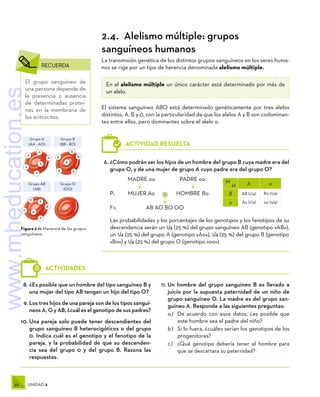 46 UNIDAD 2
	RECUERDA
El grupo sanguíneo de
una persona depende de
la presencia o ausencia
de determinadas proteí-
nas en la membrana de
los eritrocitos.
8.	¿Es posible que un hombre del tipo sanguíneo B y
una mujer del tipo AB tengan un hijo del tipo O?
9.	Los tres hijos de una pareja son de los tipos sanguí-
neos A, O y AB, ¿cuál es el genotipo de sus padres?
10.	Una pareja solo puede tener descendientes del
grupo sanguíneo B heterocigóticos o del grupo
0. Indica cuál es el genotipo y el fenotipo de la
pareja, y la probabilidad de que su descenden-
cia sea del grupo 0 y del grupo B. Razona las
respuestas.
11.	Un hombre del grupo sanguíneo B es llevado a
juicio por la supuesta paternidad de un niño de
grupo sanguíneo O. La madre es del grupo san-
guíneo A. Responde a las siguientes preguntas:
a )	 De acuerdo con esos datos, ¿es posible que
este hombre sea el padre del niño?
b )	 Si lo fuera, ¿cuáles serían los genotipos de los
progenitores?
c )	 ¿Qué genotipo debería tener el hombre para
que se descartara su paternidad?
ACTIVIDADES
6.	¿Cómo podrán ser los hijos de un hombre del grupo B cuya madre era del
grupo O, y de una mujer de grupo A cuyo padre era del grupo O?
	 MADRE oo		 PADRE oo
P:	 MUJER Ao		 HOMBRE Bo
F1:	 AB AO BO OO
Las probabilidades y los porcentajes de los genotipos y los fenotipos de su
descendencia serán un 1/4 (25 %) del grupo sanguíneo AB (genotipo «AB»),
un 1/4 (25 %) del grupo A (genotipo «Ao»), 1/4 (25 %) del grupo B (genotipo
«Bo») y 1/4 (25 %) del grupo O (genotipo «oo»).
×
M
H A o
B AB (1/4) Bo (1/4)
o Ao (1/4) oo (1/4)
ACTIVIDAD RESUELTA
A
B
Rh
Rh
Rh Rh
Rh
Rh
A
A
A
A
A
B
B B
B
B
B
B
B
A
A
A
Figura 2.11. Herencia de los grupos
sanguíneos.
B
Rh
Rh
Rh Rh
B
B
B
B
B
B
A
A
A
Grupo A
(AA - AO)
Grupo B
(BB - BO)
Grupo AB
(AB)
Grupo O
(OO)
2.4.  Alelismo múltiple: grupos
sanguíneos humanos
La transmisión genética de los distintos grupos sanguíneos en los seres huma-
nos se rige por un tipo de herencia denominada alelismo múltiple.
En el alelismo múltiple un único carácter está determinado por más de
un alelo.
El sistema sanguíneo ABO está determinado genéticamente por tres alelos
distintos, A, B y 0, con la particularidad de que los alelos A y B son codominan-
tes entre ellos, pero dominantes sobre el alelo o.
www.mheducation.es
 