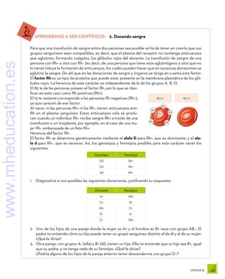 47
UNIDAD 2
A
B
Rh
Rh
Rh Rh
Rh
Rh
A
A
A
A
A
B
B B
B
B
B
B
B
A
A
A
Rh (+) Rh (–)
APRENDEMOS A SER CIENTÍFICOS  2. Donando sangre
Para que una transfusión de sangre entre dos personas sea posible se ha de tener en cuenta que sus
grupos sanguíneos sean compatibles, es decir, que el plasma del receptor no contenga anticuerpos
que aglutinen, formando coágulos, los glóbulos rojos del donante. La transfusión de sangre de una
persona con Rh+ a otra con Rh– (es decir, de una persona que tiene este aglutinógeno a otra que no
lo tiene) induce la formación de anticuerpos, los cuales pueden hacer que en sucesivas donaciones se
aglutine la sangre. De ahí que en las donaciones de sangre y órganos se tenga en cuenta este factor.
El factor Rh es un tipo de proteína que puede estar presente en la membrana plasmática de los gló-
bulos rojos. La herencia de este carácter es independiente de la de los grupos A, B, O.
El 85 % de las personas poseen el factor Rh, por lo que se clasi-
fican en este caso como Rh positivas (Rh+).
El 15 % restante corresponde a las personas Rh negativas (Rh−),
ya que carecen de ese factor.
Al nacer, ni las personas Rh+ ni las Rh– tienen anticuerpos anti-
Rh en el plasma sanguíneo. Estos anticuerpos solo se produ-
cen cuando un individuo Rh– recibe sangre Rh+ a través de una
transfusión o un trasplante, por ejemplo, en el caso de una mu-
jer Rh– embarazada de un feto Rh+.
Herencia del factor Rh:
El factor Rh se determina genéticamente mediante el alelo D para Rh+, que es dominante, y el ale-
lo d para Rh–, que es recesivo. Así, los genotipos y fenotipos posibles para este carácter serán los
siguientes:
1.	 Diagnostica si son posibles las siguientes donaciones, justificando tu respuesta:
2.	 Uno de los hijos de una pareja donde la mujer es A+ y el hombre es B+ nace con grupo AB–. El
padre no entiende cómo su hijo puede tener un grupo sanguíneo distinto al de él y al de su mujer.
¿Qué le dirías?
3.	 Otra pareja, con grupos A– (ella) y B+ (él), tienen un hijo. Ella no entiende que su hijo sea B+, igual
que su padre, y no tenga nada de su fenotipo. ¿Qué le dirías?
¿Podría alguno de los hijos de la pareja anterior tener descendencia con grupo O–?
Genotipo Fenotipo
DD Rh+
Dd Rh+
dd Rh–
Donante Receptor
A+ AB+
O+ B+
AB– O+
B– A–
O– AB+
www.mheducation.es
 