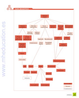 57
UNIDAD 2
Complementario
Imprescindible
Necesario
Herencia
genética
Herencia
mendeliana
Herencia
del sexo
Enfermedades
hereditarias
Herencia
ligada
al sexo
Pruebas
genéticas
Influida
por el sexo
Ligada al
cromosoma Y
Ligada al
cromosoma X
Segunda
ley, de la
segregación
ADN Genes
Fenotipo Genotipo
Ambiente
Homocigótico Heterocigótico
Dominante
Recesivo
Cromosomas
Heterocromosomas
Autosomas
Alelos
Genes
ligados
Primera
ley, de la
uniformidad
Tercera
ley, de la
independencia
Meiosis
Ciclo celular
Teoría
cromosómica
Ligamento Recombinación
Variabilidad
genética
Herencia
intermedia
Alelismo
múltiple
Codominancia
Otro tipo
de herencia
MAPA SEMÁNTICO
www.mheducation.es
 
