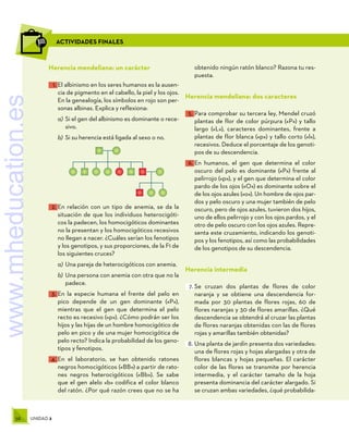 58 UNIDAD 2
Herencia mendeliana: un carácter
1.	El albinismo en los seres humanos es la ausen-
cia de pigmento en el cabello, la piel y los ojos.
En la genealogía, los símbolos en rojo son per-
sonas albinas. Explica y reflexiona:
a)	Si el gen del albinismo es dominante o rece-
sivo.
b)	Si su herencia está ligada al sexo o no.
2.	En relación con un tipo de anemia, se da la
situación de que los individuos heterocigóti-
cos la padecen, los homocigóticos dominantes
no la presentan y los homocigóticos recesivos
no llegan a nacer. ¿Cuáles serían los fenotipos
y los genotipos, y sus proporciones, de la F1 de
los siguientes cruces?
a)	Una pareja de heterocigóticos con anemia.
b)	Una persona con anemia con otra que no la
padece.
3.	En la especie humana el frente del pelo en
pico depende de un gen dominante («P»),
mientras que el gen que determina el pelo
recto es recesivo («p»). ¿Cómo podrán ser los
hijos y las hijas de un hombre homocigótico de
pelo en pico y de una mujer homocigótica de
pelo recto? Indica la probabilidad de los geno-
tipos y fenotipos.
4.	En el laboratorio, se han obtenido ratones
negros homocigóticos («BB») a partir de rato-
nes negros heterocigóticos («Bb»). Se sabe
que el gen alelo «b» codifica el color blanco
del ratón. ¿Por qué razón crees que no se ha
obtenido ningún ratón blanco? Razona tu res-
puesta.
Herencia mendeliana: dos caracteres
5.	Para comprobar su tercera ley, Mendel cruzó
plantas de flor de color púrpura («P») y tallo
largo («L»), caracteres dominantes, frente a
plantas de flor blanca («p») y tallo corto («l»),
recesivos. Deduce el porcentaje de los genoti-
pos de su descendencia.
6.	En humanos, el gen que determina el color
oscuro del pelo es dominante («P») frente al
pelirrojo («p»), y el gen que determina el color
pardo de los ojos («O») es dominante sobre el
de los ojos azules («o»). Un hombre de ojos par-
dos y pelo oscuro y una mujer también de pelo
oscuro, pero de ojos azules, tuvieron dos hijos,
uno de ellos pelirrojo y con los ojos pardos, y el
otro de pelo oscuro con los ojos azules. Repre-
senta este cruzamiento, indicando los genoti-
pos y los fenotipos, así como las probabilidades
de los genotipos de su descendencia.
Herencia intermedia
7.	Se cruzan dos plantas de flores de color
naranja y se obtiene una descendencia for-
mada por 30 plantas de flores rojas, 60 de
flores naranjas y 30 de flores amarillas. ¿Qué
descendencia se obtendrá al cruzar las plantas
de flores naranjas obtenidas con las de flores
rojas y amarillas también obtenidas?
8.	Una planta de jardín presenta dos variedades:
una de flores rojas y hojas alargadas y otra de
flores blancas y hojas pequeñas. El carácter
color de las flores se transmite por herencia
intermedia, y el carácter tamaño de la hoja
presenta dominancia del carácter alargado. Si
se cruzan ambas variedades, ¿qué probabilida-
ACTIVIDADES FINALES
www.mheducation.es
 