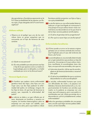 59
UNIDAD 2
des genotípicas y fenotípicas aparecerán en la
F2? ¿Qué probabilidad de las plantas con flo-
res rojas y hojas alargadas de la F2 será homo-
cigóticas?
Alelismo múltiple
9.	Observa en el pedigrí que uno de los indi-
viduos tiene un grupo sanguíneo que no
concuerda con el tipo de herencia de este
carácter.
B A
A A
AB
A
O
B B
O
B
O
O
A
a)	¿Quién es esa persona?
b)	¿Es más probable que esta persona sea hijo
o hija de la que aparece como su madre en
la genealogía, pero no del padre, o un bebé
cambiado por error en la clínica al nacer?
Herencia ligada al sexo
10.	Un hombre que padece cierta enfermedad
genética tiene dos hijas y dos hijos con una
mujer sana. Las dos hijas padecen la enfer-
medad del padre; sin embargo, ninguno de
los hijos la tiene. ¿A qué tipo de herencia te
parece que responde la enfermedad del
padre?
11.	La calvicie se debe a un gen influido por el
sexo, dominante en hombres y recesivo en
mujeres. Un hombre heterocigótico calvo se
empareja con una mujer con cabello, cuyo
padre no era calvo, pero cuya madre sí. ¿Qué
fenotipos podrán presentar sus hijos e hijas y
con qué probabilidad?
12.	La atrofia óptica es una enfermedad determi-
nada por un gen («a») ligado al cromosoma X.
Una pareja en la que ambos tienen visión nor-
mal tiene una descendencia en la que el 50 %
de los hijos varones padecen atrofia óptica.
a)	¿Cuál es el genotipo de los progenitores?
b)	¿Por qué no nacen hijas con atrofia óptica?
Enfermedades hereditarias
13.	¿Cómo puede un error en la meiosis originar
gametos con un número anómalo de cromoso-
mas? Explícalo para el caso del síndrome de
Down y de Turner.
14.	La acondroplasia es una anomalía determinada
por un gen autosómico que produce un tipo de
enanismo. Una pareja en la que ambos miem-
bros manifiestan la acondroplasia tiene dos
hijos, uno que sufre esa anomalía y otro que no.
a)	Ante esta situación, ¿dirías que la acondro-
plasia es de herencia dominante o recesiva?
¿Por qué?
b)	¿Cuál es la probabilidad de que su próximo
descendiente no sufra acondroplasia?
15.	La aniridia, enfermedad humana que cursa
con dificultades de visión, y la jaqueca son
debidas a factores dominantes («A» y «J», res-
pectivamente). Un hombre con aniridia cuya
madre no la padecía se empareja con una
mujer que sufre jaqueca, pero cuyo padre no
manifestaba ese mal. ¿Qué porcentaje de su
descendencia sufrirá probablemente ambas
enfermedades?
16.	Indica los genotipos probables de una pareja
sana, uno de cuyos hijos varones padece dalto-
nismo y el otro hemofilia.
www.mheducation.es
 