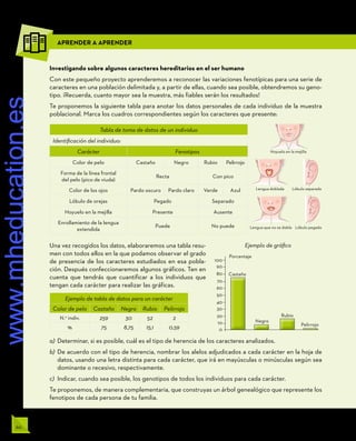 60 UNIDAD 2
Ejemplo de tabla de datos para un carácter
Color de pelo Castaño Negro Rubio Pelirrojo
N.o
indiv. 259 30 52 2
% 75 8,75 15,1 0,59
Porcentaje
100
90
80
70
60
50
40
30
20
10
0
Ejemplo de gráfico
Castaño
Negro
Rubio
Pelirrojo
Hoyuelo en la mejilla
Lengua doblada Lóbulo separado
Lengua que no se dobla Lóbulo pegado
Tabla de toma de datos de un individuo
Identificación del individuo:
Carácter Fenotipos
Color de pelo Castaño Negro Rubio Pelirrojo
Forma de la línea frontal
del pelo (pico de viuda)
Recta Con pico
Color de los ojos Pardo oscuro Pardo claro Verde Azul
Lóbulo de orejas Pegado Separado
Hoyuelo en la mejilla Presente Ausente
Enrollamiento de la lengua
extendida
Puede No puede
Investigando sobre algunos caracteres hereditarios en el ser humano
Con este pequeño proyecto aprenderemos a reconocer las variaciones fenotípicas para una serie de
caracteres en una población delimitada y, a partir de ellas, cuando sea posible, obtendremos su geno-
tipo. ¡Recuerda, cuanto mayor sea la muestra, más fiables serán los resultados!
Te proponemos la siguiente tabla para anotar los datos personales de cada individuo de la muestra
poblacional. Marca los cuadros correspondientes según los caracteres que presente:
Una vez recogidos los datos, elaboraremos una tabla resu-
men con todos ellos en la que podamos observar el grado
de presencia de los caracteres estudiados en esa pobla-
ción. Después confeccionaremos algunos gráficos. Ten en
cuenta que tendrás que cuantificar a los individuos que
tengan cada carácter para realizar las gráficas.
a)	Determinar, si es posible, cuál es el tipo de herencia de los caracteres analizados.
b)	De acuerdo con el tipo de herencia, nombrar los alelos adjudicados a cada carácter en la hoja de
datos, usando una letra distinta para cada carácter, que irá en mayúsculas o minúsculas según sea
dominante o recesivo, respectivamente.
c)	 Indicar, cuando sea posible, los genotipos de todos los individuos para cada carácter.
Te proponemos, de manera complementaria, que construyas un árbol genealógico que represente los
fenotipos de cada persona de tu familia.
APRENDER A APRENDER
www.mheducation.es
 