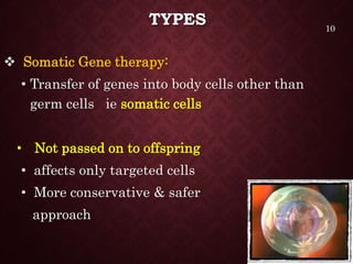 TYPES
 Somatic Gene therapy:
• Transfer of genes into body cells other than
germ cells ie somatic cells
• Not passed on to offspring
• affects only targeted cells
• More conservative & safer
approach
10
 
