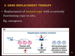 2. GENE REPLACEMENT THERAPY
• Replacement of mutant copy with a correctly
functioning copy in situ.
Eg. oncogenes
19
 