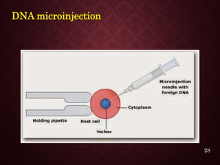 DNA microinjection
28
 