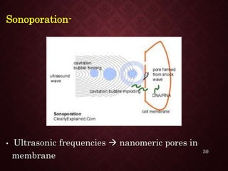 Sonoporation-
• Ultrasonic frequencies  nanomeric pores in
membrane
30
 