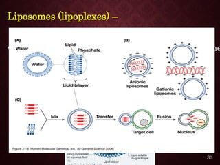 Liposomes (lipoplexes) –
• The nanomeric complex between a cationic liposome
and nucleic acids = lipoplex
33
 