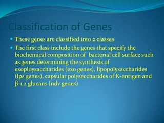 Genes | PPTX