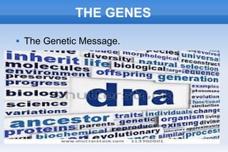 THE GENES


The Genetic Message.

 