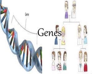 Genes 
 