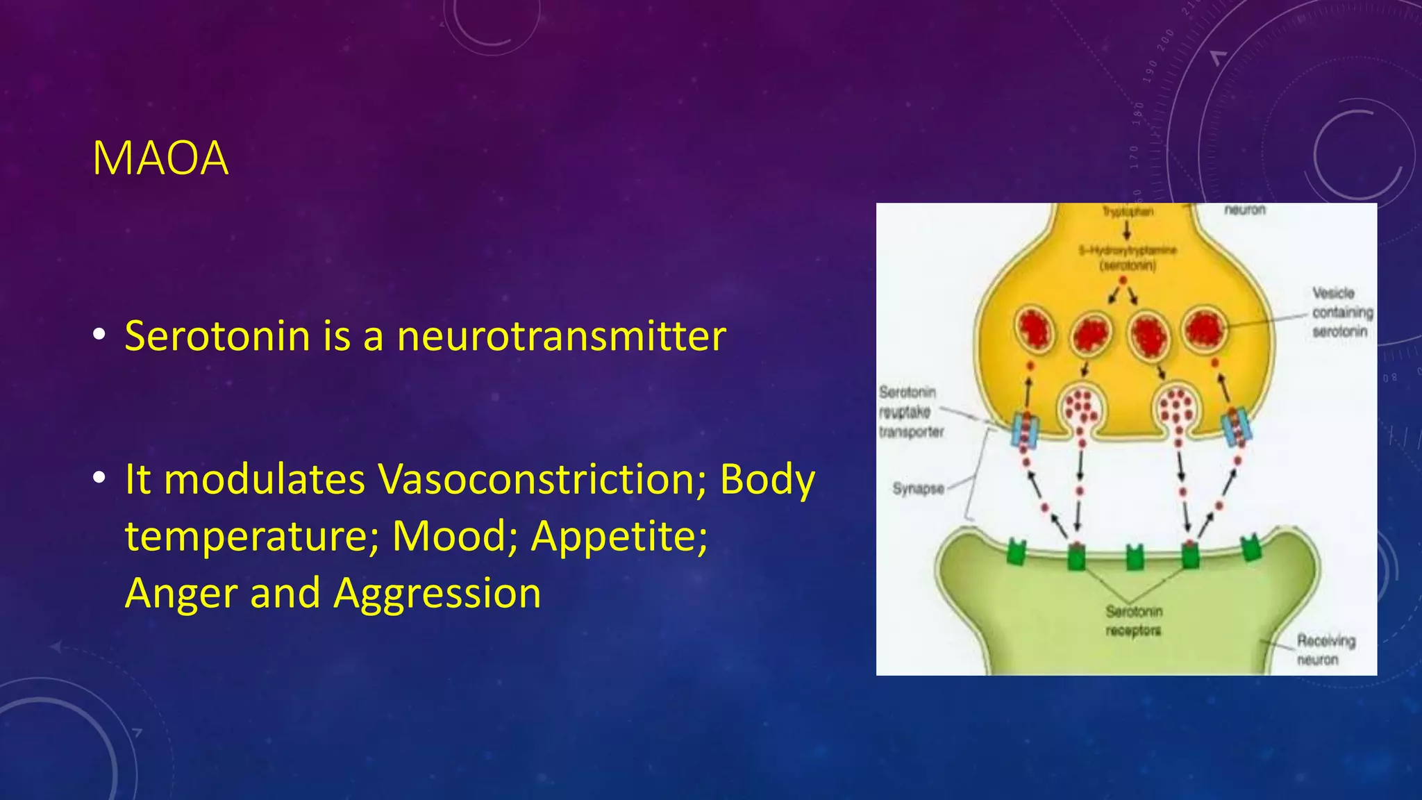 MAOA
• Serotonin is a neurotransmitter
• It modulates Vasoconstriction; Body
temperature; Mood; Appetite;
Anger and Aggression
 