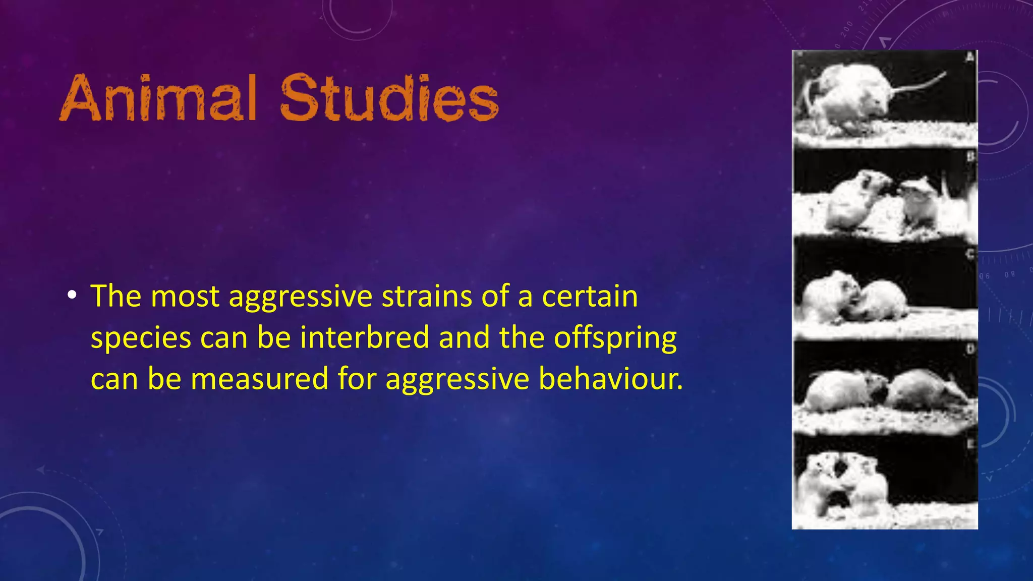 • The most aggressive strains of a certain
species can be interbred and the offspring
can be measured for aggressive behaviour.
 