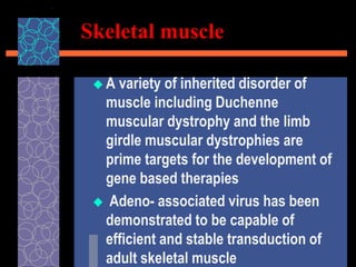 Skeletal muscle
 A variety of inherited disorder of
muscle including Duchenne
muscular dystrophy and the limb
girdle muscular dystrophies are
prime targets for the development of
gene based therapies
 Adeno- associated virus has been
demonstrated to be capable of
efficient and stable transduction of
adult skeletal muscle
 