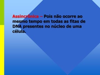 Assincrônica – Pois não ocorre ao
mesmo tempo em todas as fitas de
DNA presentes no núcleo de uma
célula.
 