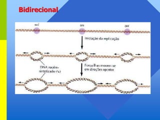 Bidirecional
 
