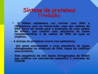 Síntese de proteínas
(Tradução)
- O RNAm estabelece um vínculo com DNA e
ribossomos, pois na transcrição, uma das cadeias de
DNA serve de molde para a produção de uma cadeia
de RNAm, que contém uma sequência de bases
complementares à da cadeia de DNA da qual se
originou.
- A síntese de proteínas ocorre nos polissomos.
- Um gene corresponde a uma sequência de bases
nitrogenadas na molécula de DNA, capaz de codificar
uma proteína.
- Esta sequência de três bases nitrogenadas do RNAm
que codifica um aminoácido específico é chamada de
CÓDON.
 