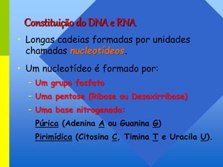 Constituição do DNA e RNA
• Longas cadeias formadas por unidades
chamadas nucleotídeos.
• Um nucleotídeo é formado por:
– Um grupo fosfato
– Uma pentose (Ribose ou Desoxirribose)
– Uma base nitrogenada:
Púrica (Adenina A ou Guanina G)
Pirimídica (Citosina C, Timina T e Uracila U).
 