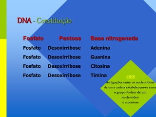 DNA - Constituição
Fosfato Pentose Base nitrogenada
Fosfato Desoxirribose Adenina
Fosfato Desoxirribose Guanina
Fosfato Desoxirribose Citosina
Fosfato Desoxirribose Timina OBS
As ligações entre os nucleotídeos
de uma cadeia estabelecem-se entre
o grupo fosfato de um
nucleotídeo
e a pentose
 