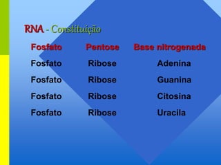 Fosfato Pentose Base nitrogenada
Fosfato Ribose Adenina
Fosfato Ribose Guanina
Fosfato Ribose Citosina
Fosfato Ribose Uracila
RNA - Constituição
 