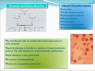 Herencia Autosómica Recesiva Se manifiestan sólo en el individuo homocigoto para el alelo anómalo. Igual incidencia en hombres y mujeres. Escasa incidencia general. Elevada incidencia en determinadas poblaciones.  Suele limitarse a una generación.  Frecuente consanguinidad. Patrón de transmisión horizontal. Más de 1000 enfermedades Talasemias Atrofia Medular Espinal Enfermedad de Gaucher Fibrosis Quística Fenilcetonuria  Síndrome Adrenogenital  Déficit de Alfa1 Antitripsina 