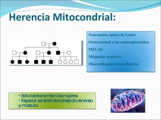 Herencia Mitocondrial: Neuropatía óptica de Leber Ototoxicidad a los aminoglucósidos MELAS Miopatías oculares Miocardiopatías hereditarias Sólo las transmiten las mujeres Especial sensibilidad de tejido nervioso y músculo . 