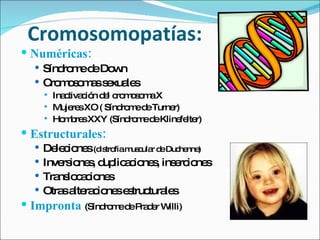 Cromosomopatías: Numéricas: Síndrome de Down Cromosomas sexuales Inactivación del cromosoma X Mujeres XO ( Síndrome de Turner) Hombres XXY (Síndrome de Klinefelter) Estructurales: Deleciones  (distrofia muscular de Duchenne) Inversiones, duplicaciones, inserciones Translocaciones Otras alteraciones estructurales Impronta  (Síndrome de Prader Willi) 