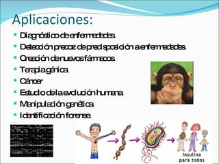 Aplicaciones: Diagnóstico de enfermedades. Detección precoz de predisposición a enfermedades. Creación de nuevos fármacos. Terapia génica Cáncer Estudio de la evolución humana Manipulación genética. Identificación forense. 