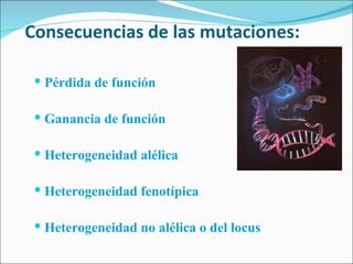 Consecuencias de las mutaciones: Pérdida de función Ganancia de función Heterogeneidad alélica Heterogeneidad fenotípica Heterogeneidad no alélica o del locus 