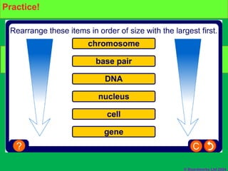 © Boardworks Ltd 2004
Practice
Build your own DNA molecule
Practice!
 