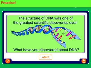 DNA multiple choicePractice!
 