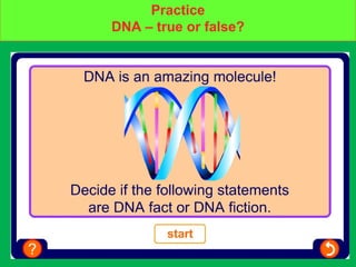 DNA – true or false?Practice
DNA – true or false?
 