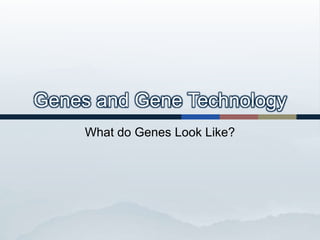 Genes and Gene Technology
     What do Genes Look Like?
 