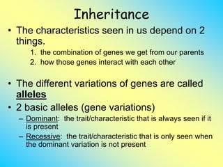 Genes and Heredity.ppt