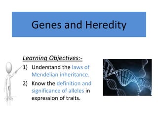Learning Objectives:-
1) Understand the laws of
Mendelian inheritance.
2) Know the definition and
significance of alleles in
expression of traits.
Genes and Heredity
 