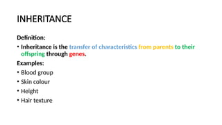 Genes and Inhertance Basics for school students UNIT 7 Grade 8.pptx