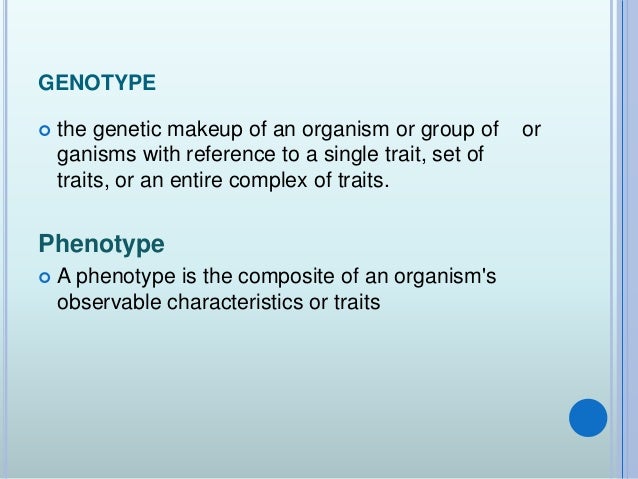 Genetic Makeup Of An Organism Interesting Genes And Gametes Genetic Makeup Of An Organism Interesting Genes And Gametes