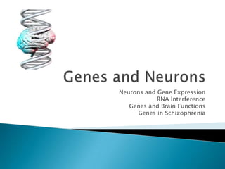 Neurons and Gene Expression
            RNA Interference
   Genes and Brain Functions
     Genes in Schizophrenia
 
