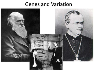 Genes and Variation 