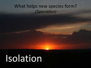 What helps new species form? (Speciation)IsolationTwo types of isolation…