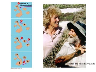 Peter and Rosemary Grant