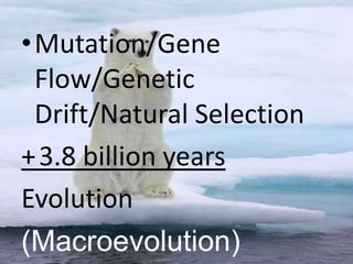 Mutation/Gene Flow/Genetic Drift/Natural Selection+	3.8 billion yearsEvolution(Macroevolution)
