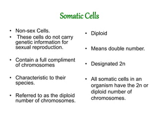 genes, chromosomes and dna (talk 3).ppt