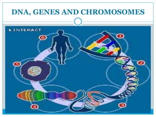 DNA, GENES AND CHROMOSOMES
 
