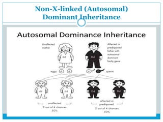Non-X-linked (Autosomal)
Dominant Inheritance
 